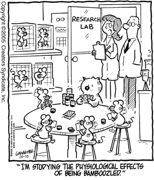 heathcliff